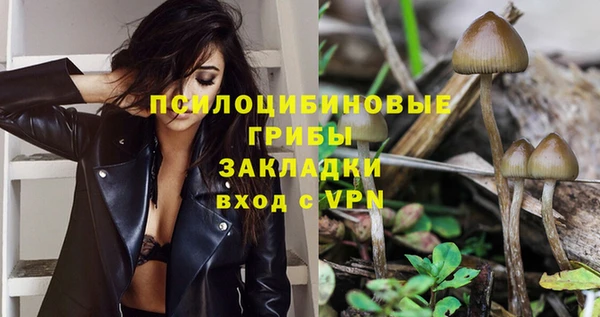 твердый Балахна
