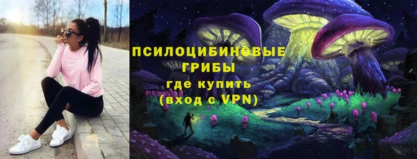 твердый Балахна